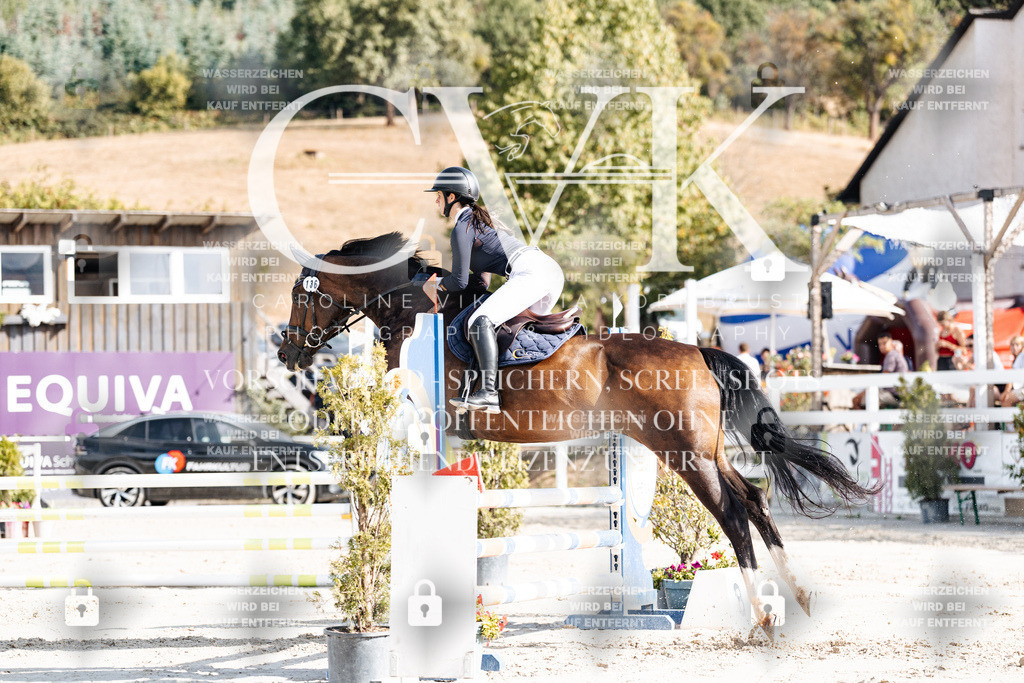 CK909202 | Turnierfotografie Pferdefotografie Trier Rheinland-Pfalz Pferdesport Reitsport Tierfotografie Sportfotografie Pferdevideo Pferdevideografie Equestrianvideography equestrianphotography  - Realisiert mit Pictrs.com
