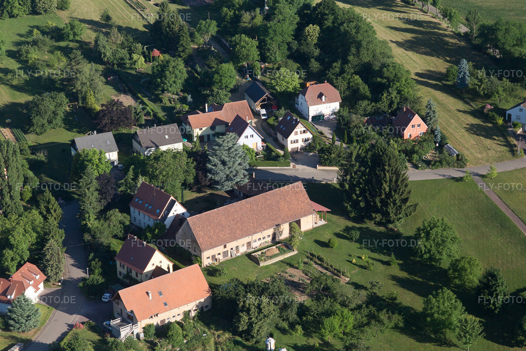 Luftbild: Ortsansicht in Steinseltz im Bundesland Bas-Rhin in Frankreich. Foto: IMG_100977.jpg vom 17.06.2017 durch Werner Riehm/FLY-FOTO.de