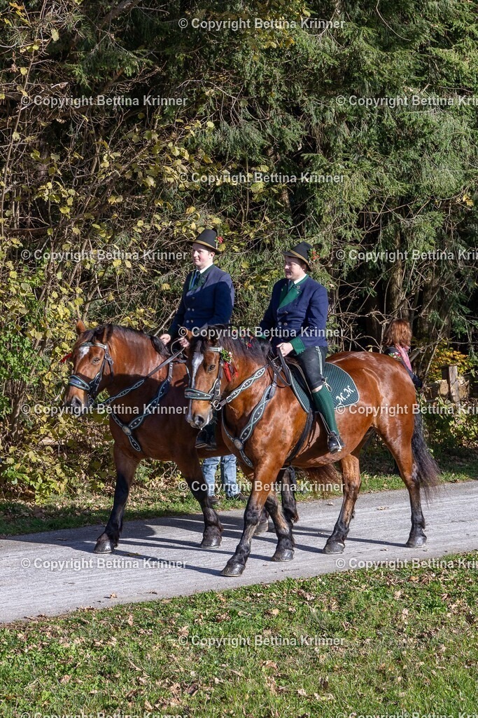 LBT24-788 | foto-bettina-krinner - Realisiert mit Pictrs.com