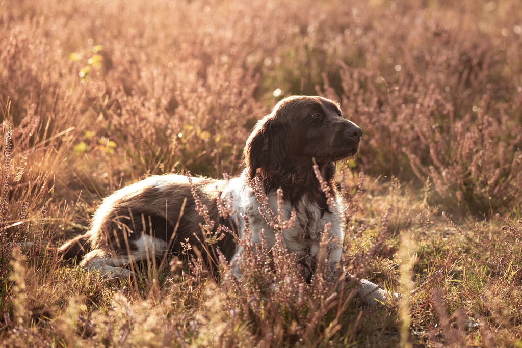 _DSC0254 | photography by friederike - Realisiert mit Pictrs.com