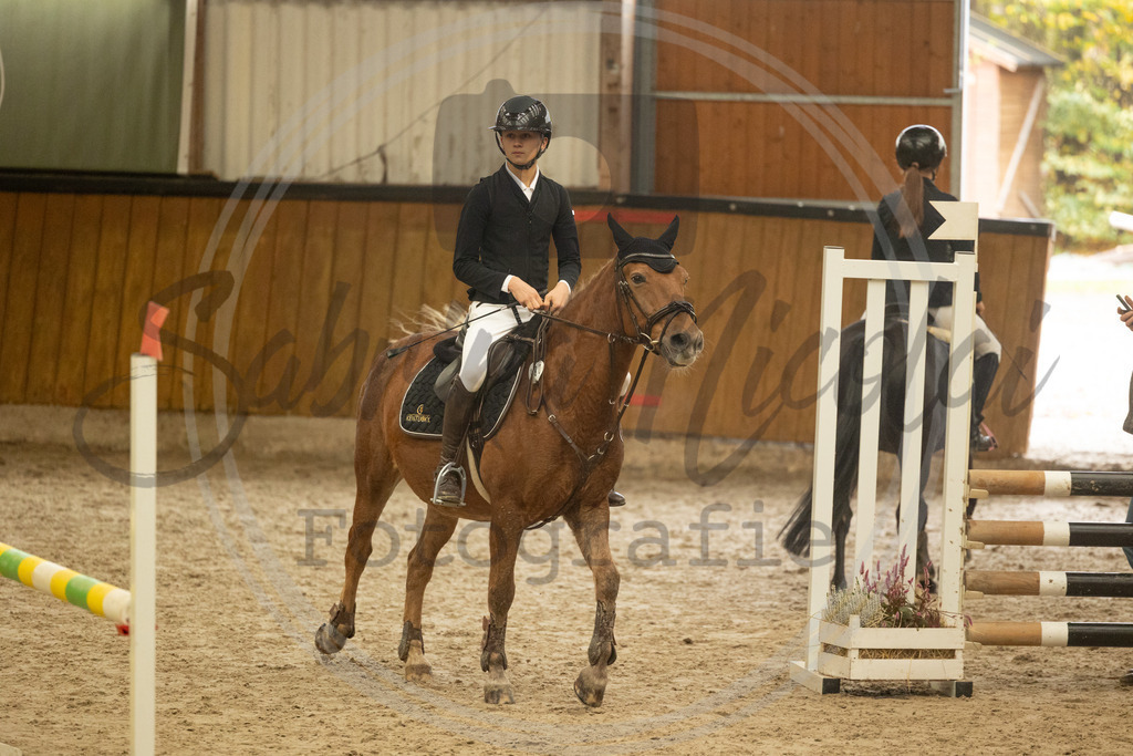 994A6159 | sabrinanicolaifotografie - Realisiert mit Pictrs.com