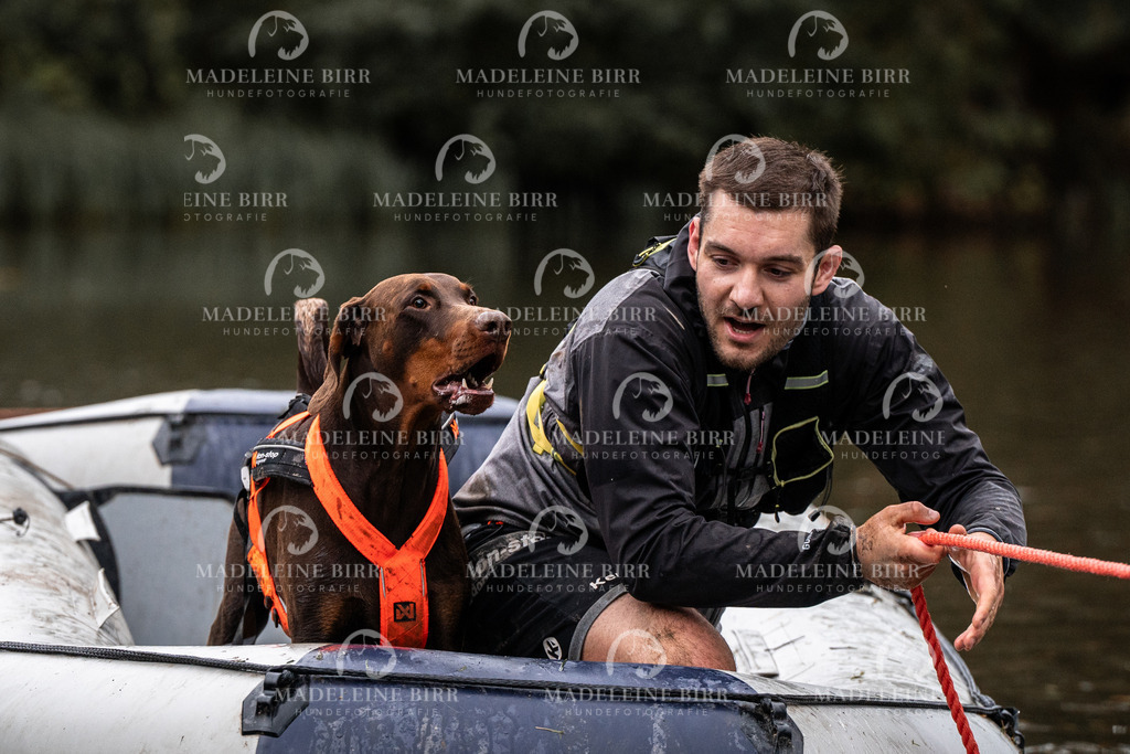 madeleinebirr-fotografie2025.campcanis.Startbis9Uhr-97 | hundefotografie-birr