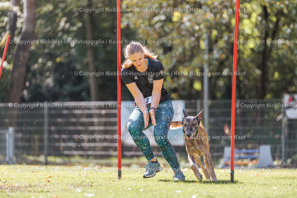 THS-HSV-Blumenthal-2026-Nickbest-Hundefotografie-3723 | Dein Hund! Dein Moment! Deine Erinnerungen! Hundefotografie in Bremen Blumenthal. Ich fange die besonderen Momente deines Vierbeiners ein – ob Indoor mit Blitzanlage oder in der freien Natur. Sicher dir dein Moment und dein Termin für eure Erinnerungen.