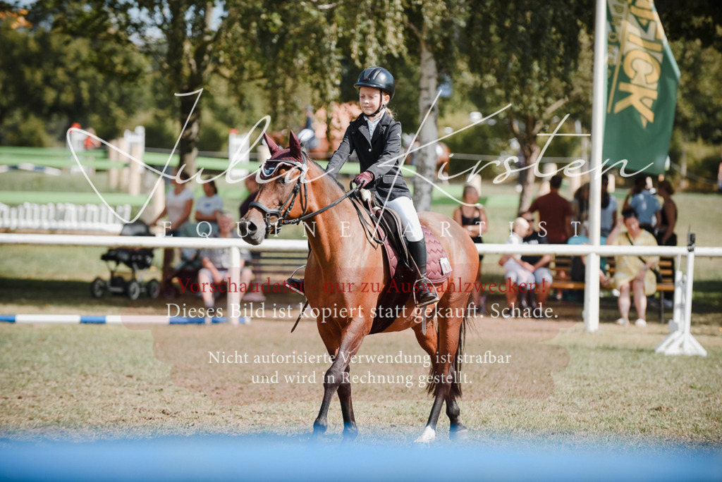 DSC_5406 | Pferde- und Turnierfotografie in Westsachsen. Pferdeportraits, Auftragszeichnungen und intuitive Kunst.
