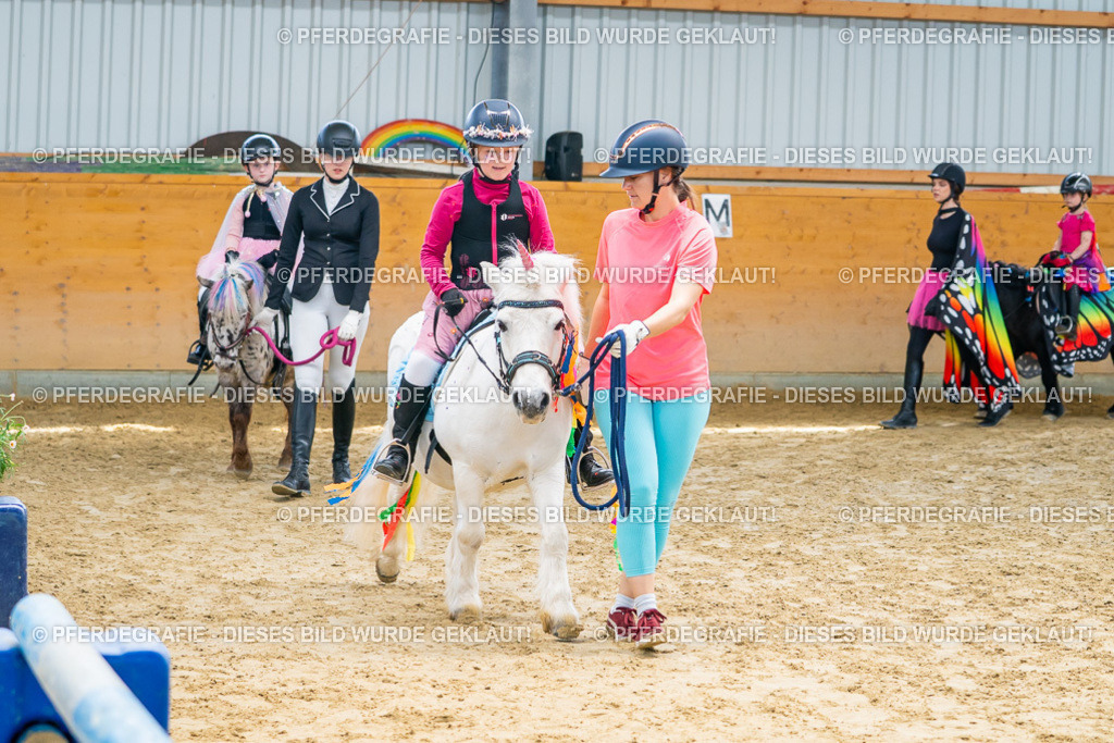 DSC00701 | Pferdegrafie