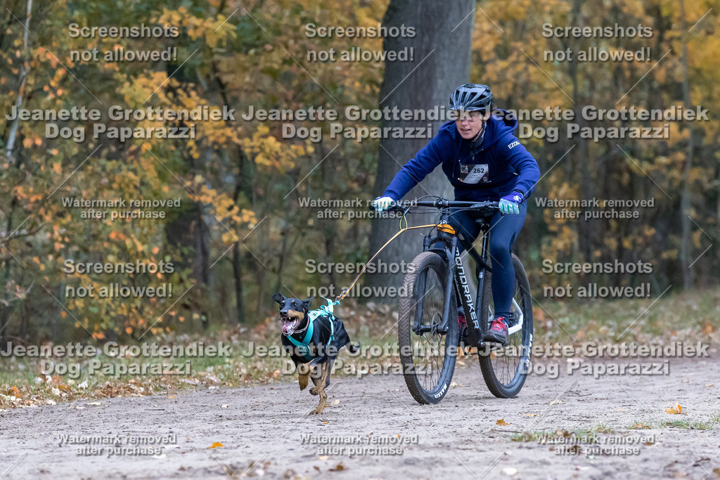 Dog Paparazzi - SD CaniX Championship 2025-279 | Dog Paparazzi Jeanette Grottendiek Fotografie & Videografie - Realisiert mit Pictrs.com