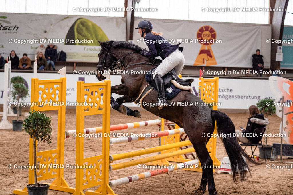 Kranichstein Tag 3-212 | dv-media-shop - Realisiert mit Pictrs.com