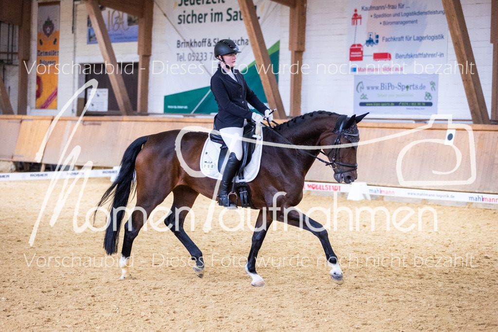 Sth-A-Dre-2St-168 | MomenTaufnahmen Pferdesportfotos