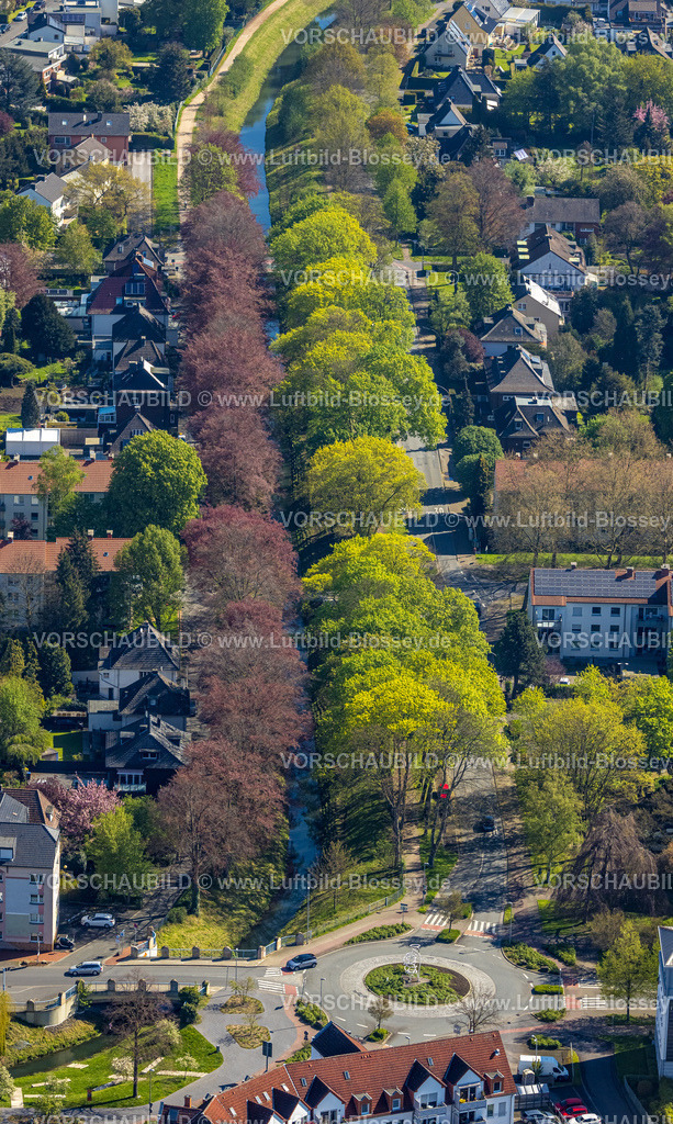 Kamen230406181 | Luftbild, Baumallee mit roten und grünen Blättern, Sesekedamm, Kamen, Ruhrgebiet, Nordrhein-Westfalen, Deutschland