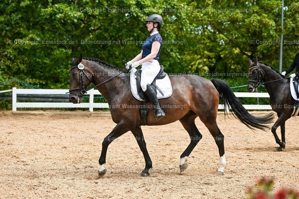 20230715_05_Dressurprüfung Kl.A++_0348 | equistock