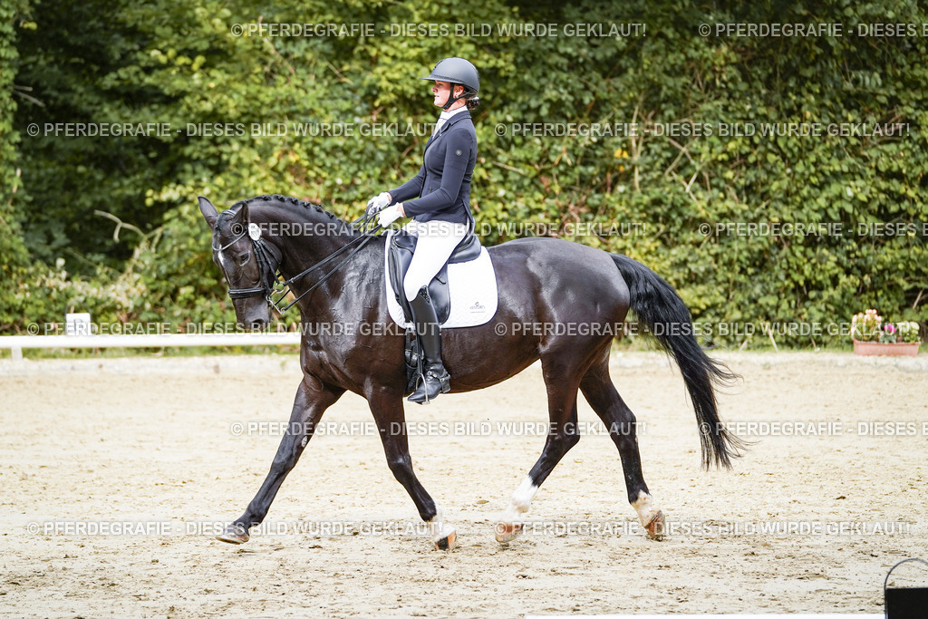 DSC05314 | Pferdegrafie