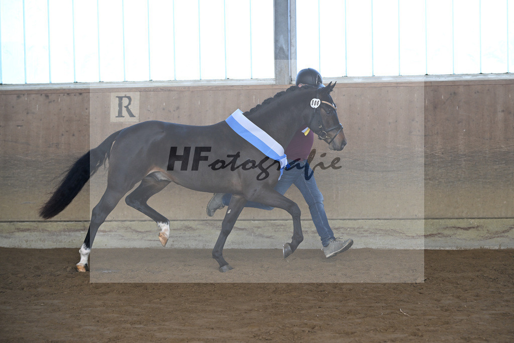 Kat-Nr. 6 Junkbrunnens Nomen est Omen v. Neverland WE_Thomas_49250282 | hf-fotografie - Realisiert mit Pictrs.com