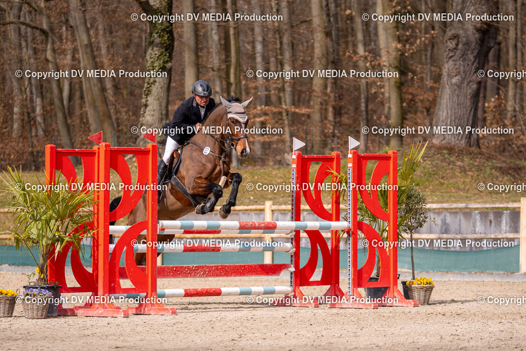 Kranichstein Tag 1-683 | dv-media-shop - Realisiert mit Pictrs.com