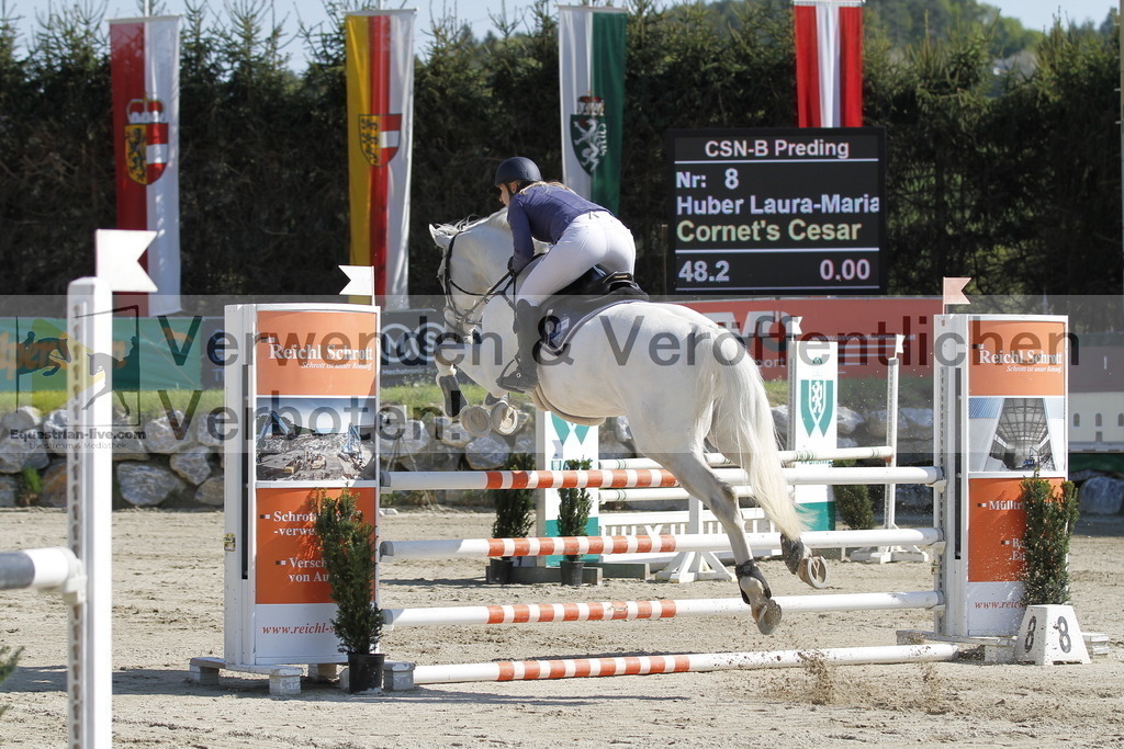 _MG_6728 | equestrian-live-com