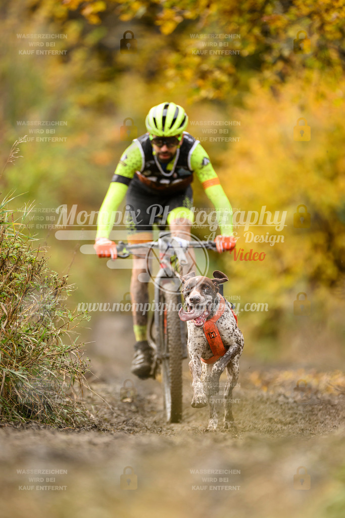 MompixPhotography_ICF_WC_2024_SA_Bike_-173 | PayLife