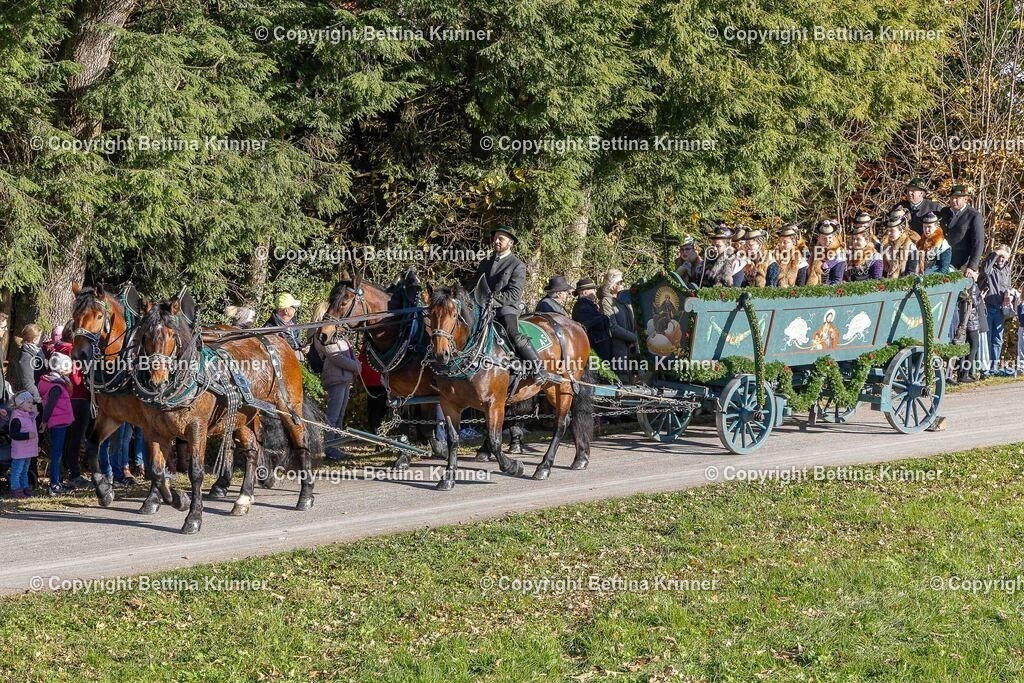 LBT25-270 | foto-bettina-krinner - Realisiert mit Pictrs.com