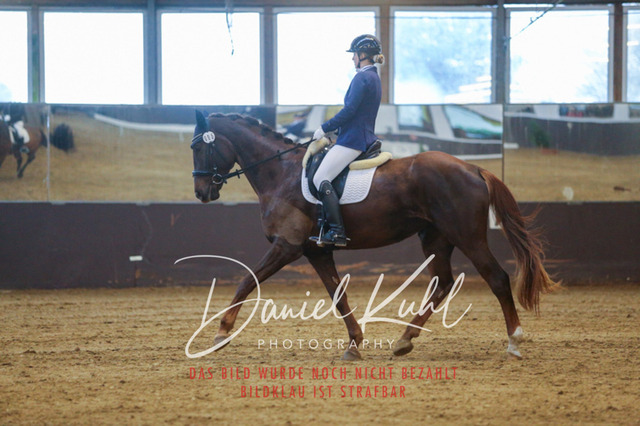 IMG_7939 | Turniersportfotografie; Pferdefotografie; Dressurfotografie