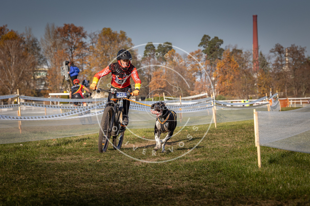 CaniXpix_0L8A6941 | Hundefotografie, Tierfotograf, Pfotenfotografie, Fotoshooting Hund, Hunde Portrait, Hundesport, Hundeportraits, Heideshooting, Hunde, Sportfotograf, Hundefotograf, Turnierhundsport, THS,  - Realisiert mit Pictrs.com