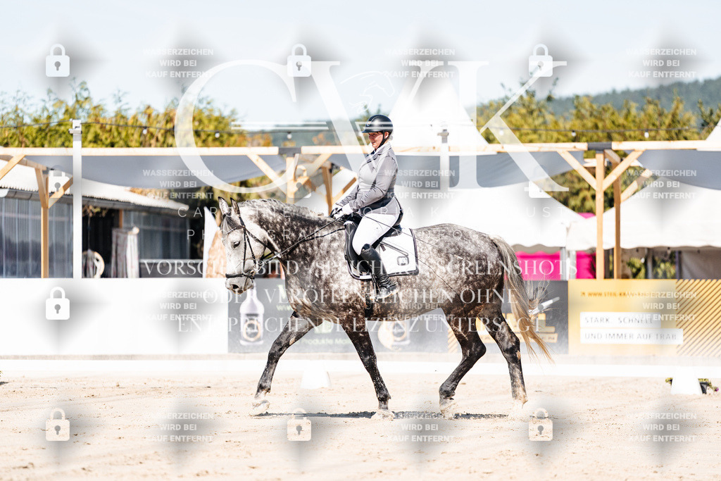 CK909026 | Turnierfotografie Pferdefotografie Trier Rheinland-Pfalz Pferdesport Reitsport Tierfotografie Sportfotografie Pferdevideo Pferdevideografie Equestrianvideography equestrianphotography  - Realisiert mit Pictrs.com