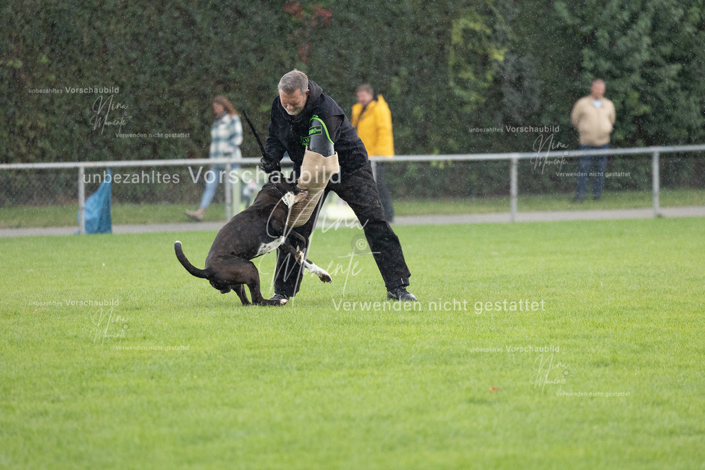 _16A7152 | Einzigartige Fotos von Hunden & Menschen –Actionfotos, Portraits, Vereinsaufnahmen & Paarshootings – authentisch, lebendig & mit Herz.