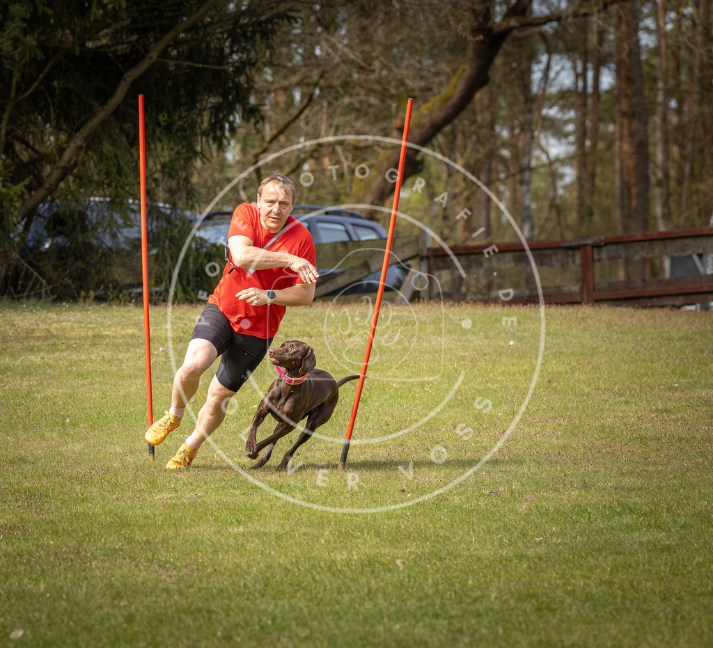 Pfotenfotografie_DV3A7071 | Hundefotografie, Tierfotograf, Pfotenfotografie, Fotoshooting Hund, Hunde Portrait, Hundesport, Hundeportraits, Heideshooting, Hunde, Sportfotograf, Hundefotograf, Turnierhundsport, THS,  - Realisiert mit Pictrs.com
