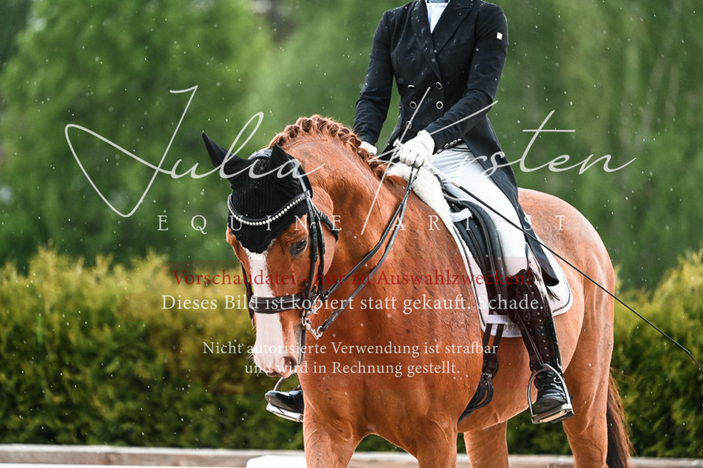 20230514_JK-Röhrsdorf-21-658 | Pferde- und Turnierfotografie in Westsachsen. Pferdeportraits, Auftragszeichnungen und intuitive Kunst.