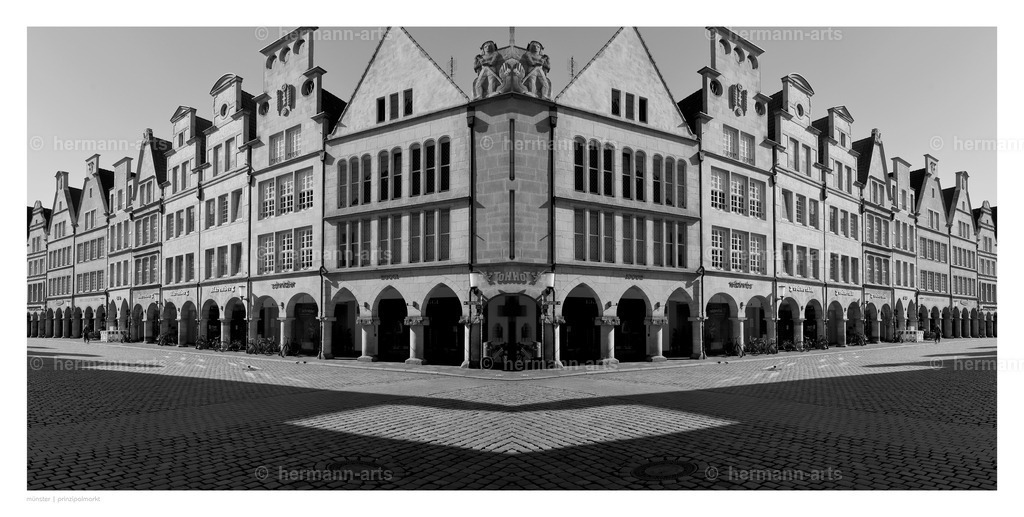 Hermann-Arts_Spiegelbilder_063 | Photo Foto Kunst Art schwarzweiss Bilder Rheine Münster Berlin Blumen 