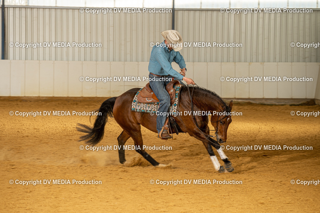 MIT01304 | dv-media-shop - Realisiert mit Pictrs.com