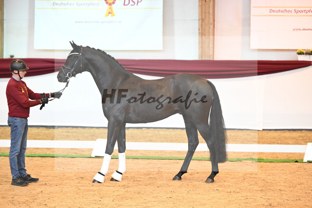 Kat-Nr. 8 v. Bon Courage_Maier_66220143 | hf-fotografie - Realisiert mit Pictrs.com