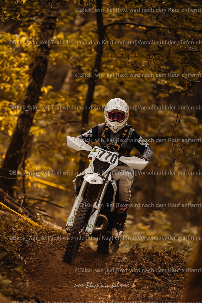 E68A3937 | blick_win_kel