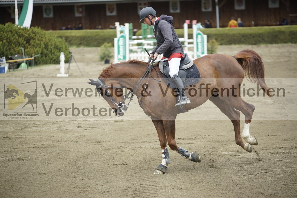 _DSC7326 | equestrian-live-com