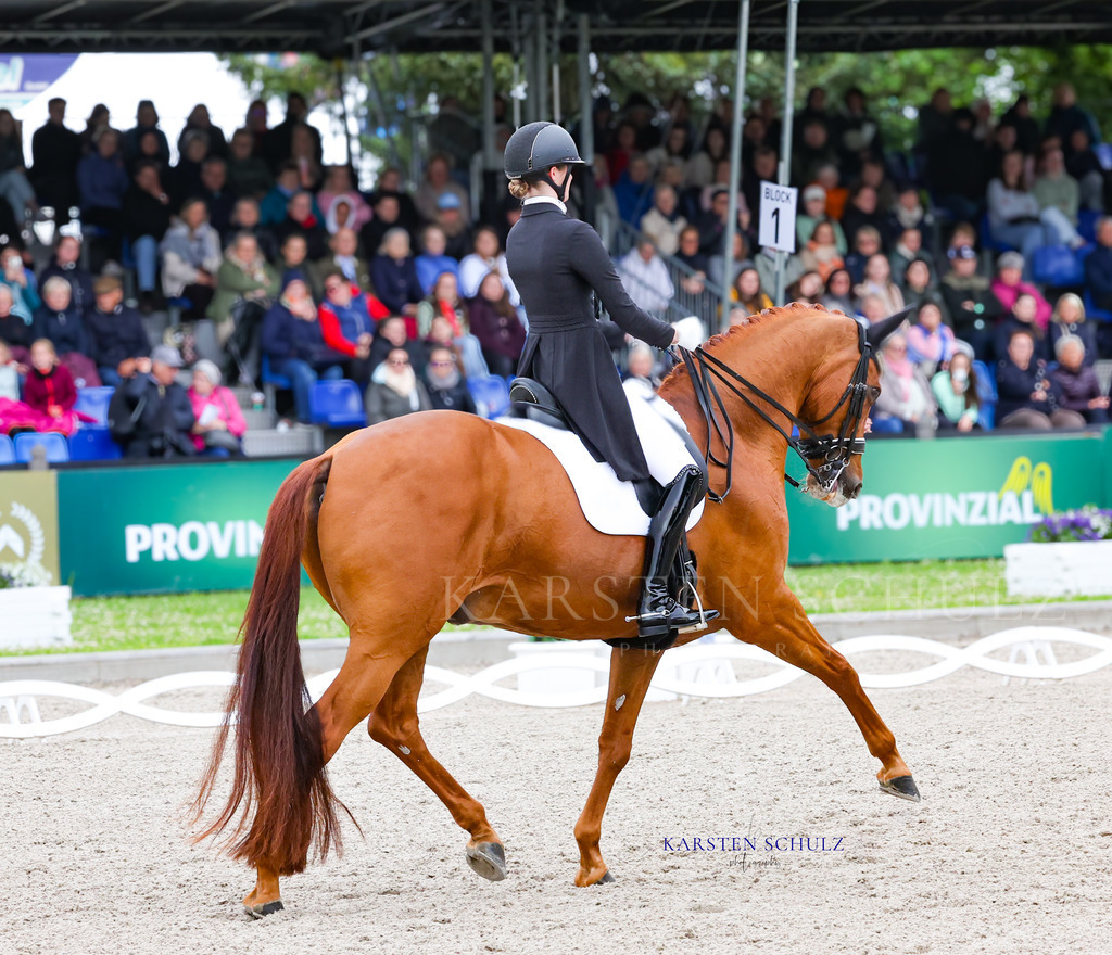 1B3A8498 | Reitsport Reiten