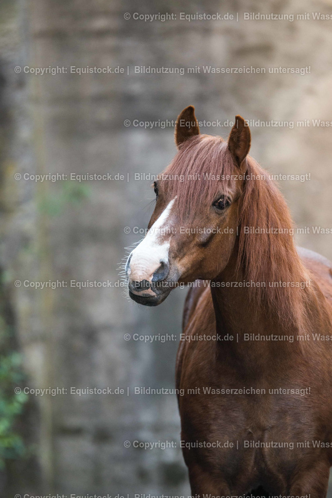 TS_20170425_Solido_Landschaftspark_0002 | Foto: Thomas Hartig