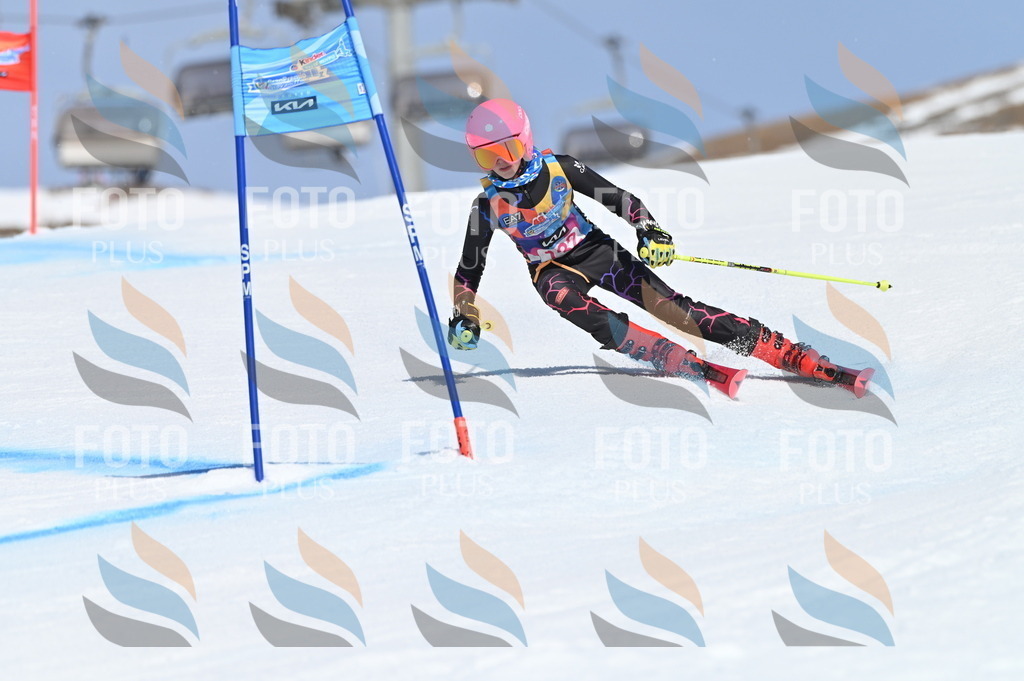 BGV_0016 | holidayphoto