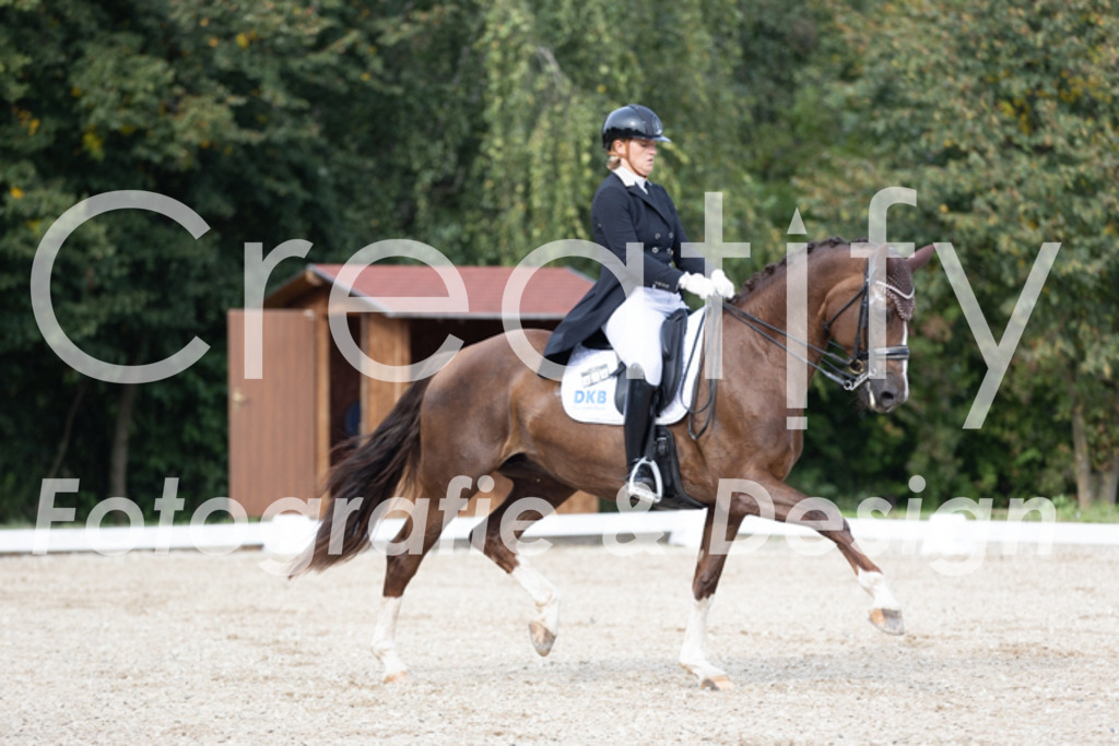 IMG_4638 | Creatify Fotografie