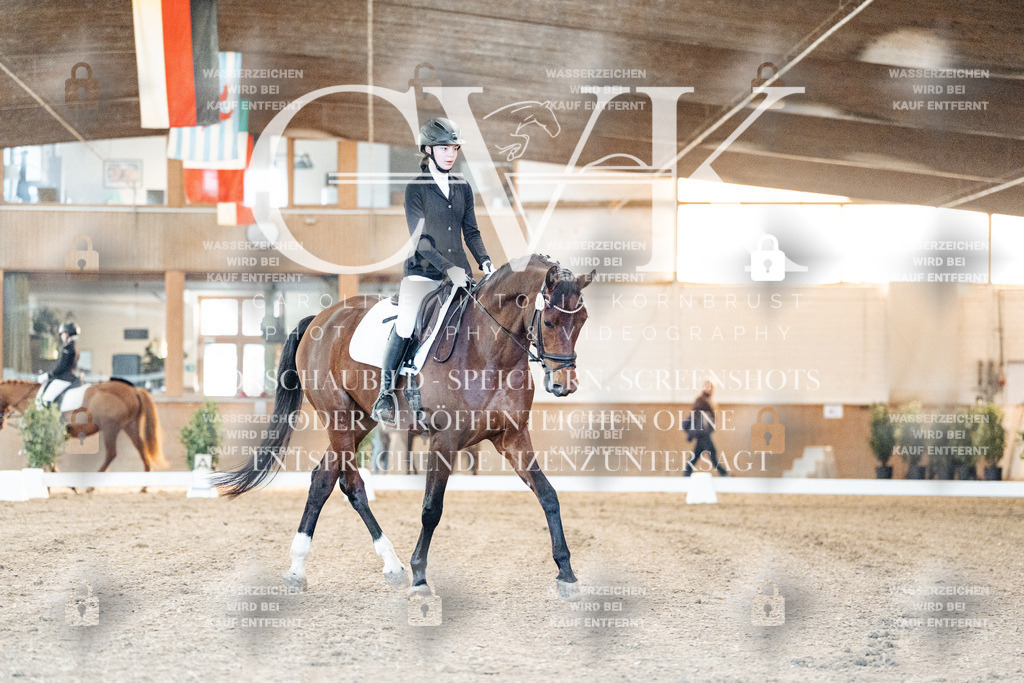 CK906467 | Turnierfotografie Pferdefotografie Trier Rheinland-Pfalz Pferdesport Reitsport Tierfotografie Sportfotografie Pferdevideo Pferdevideografie Equestrianvideography equestrianphotography  - Realisiert mit Pictrs.com