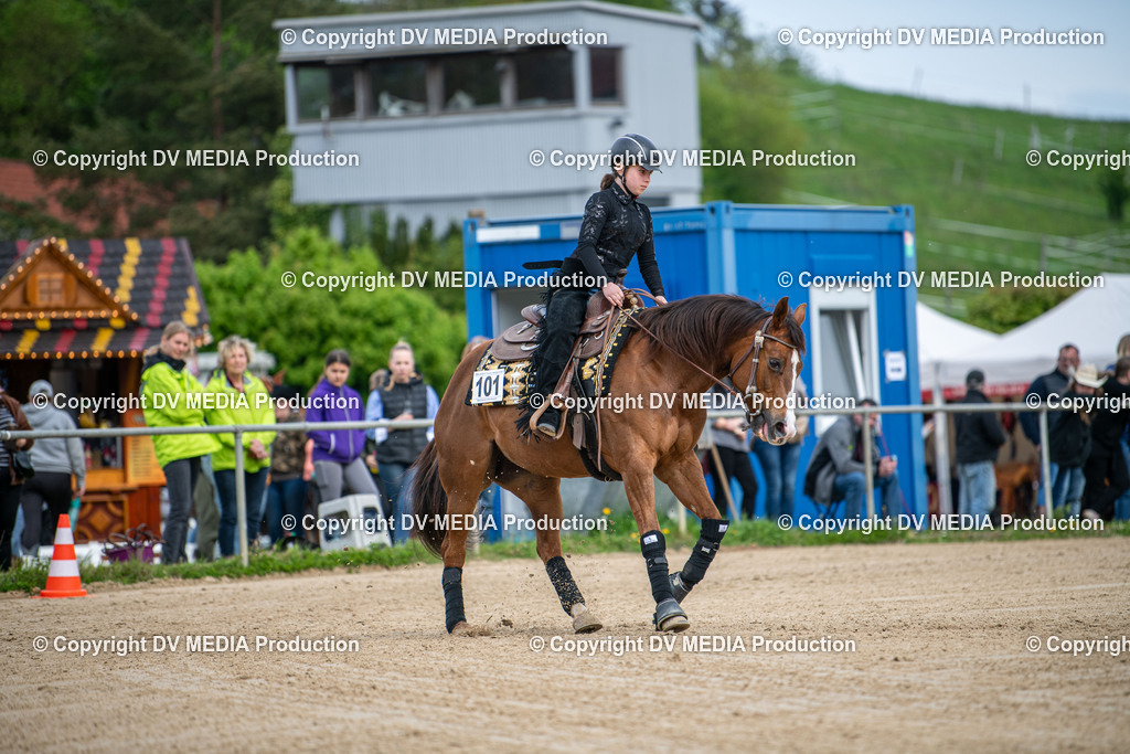 Heiligenwald Tag 2-2119 | dv-media-shop - Realisiert mit Pictrs.com