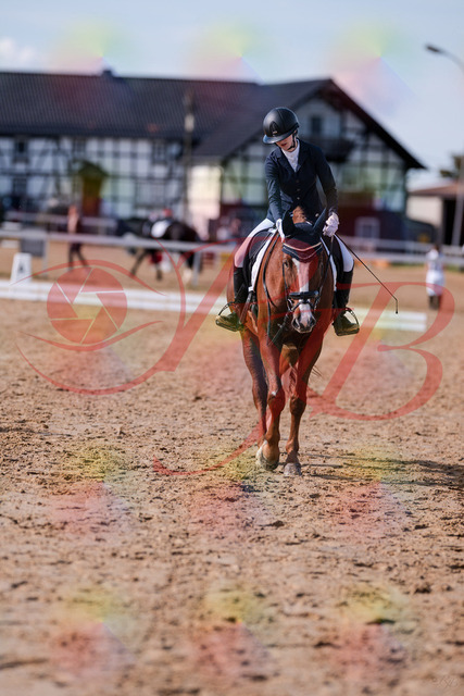 2026_10_03_Siefer-Hof_133318_Z81_91941335 | Professionelle Reitsport-, Turnier- und Eventfotografie von Robert Broda. Galerien mit ausgewählten und bearbeiteten Bildern direkt online ansehen und bestellen.