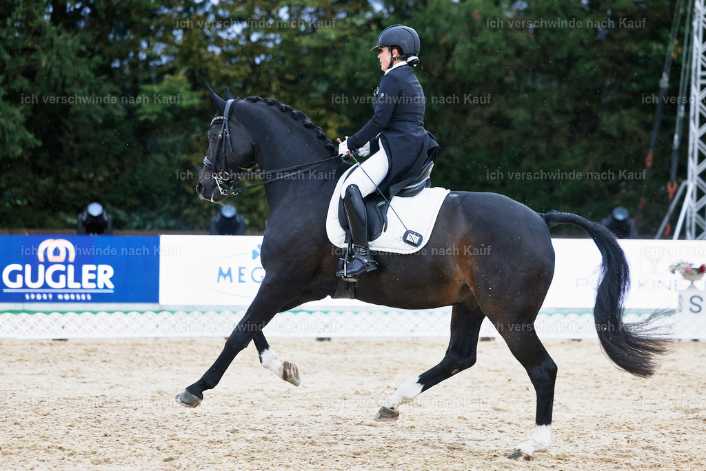 8_2-183-DRESSUR S_  -StoibPH-4559 | working equitationturnier fotograf videograf stoibphotography marixx film working equitation deutschland reitsport turnierfotografie eventfotografie equestrian events