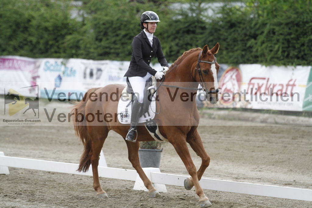 _MG_2296 | equestrian-live-com