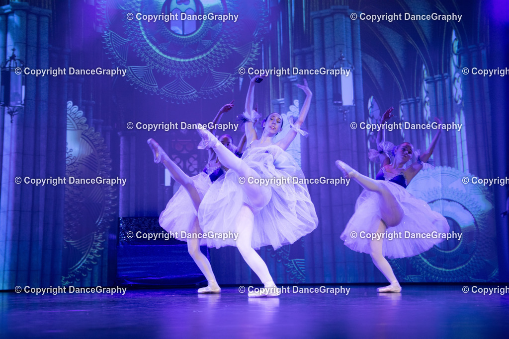 GPHY2611 | DanceGraphy - Realisiert mit Pictrs.com