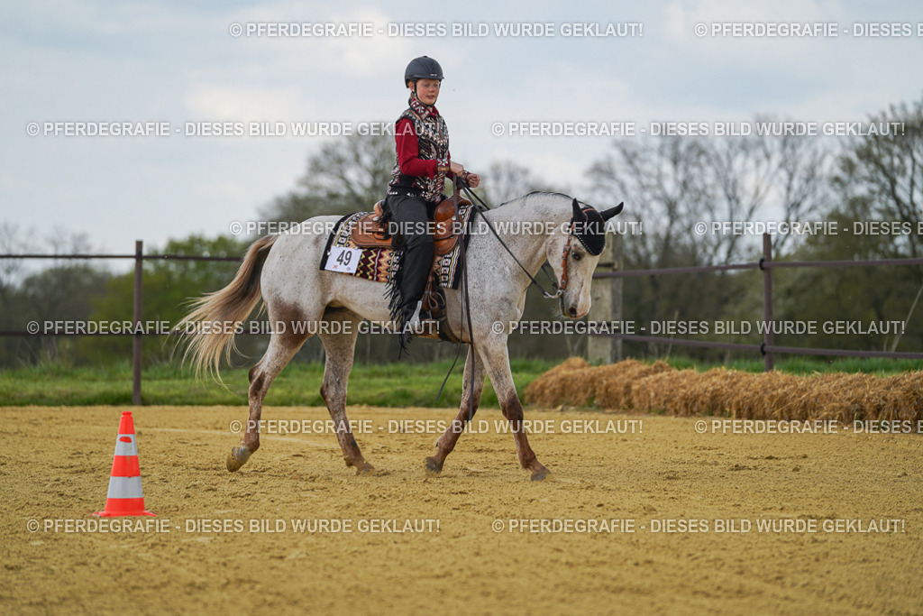 DSC06076 | Pferdegrafie