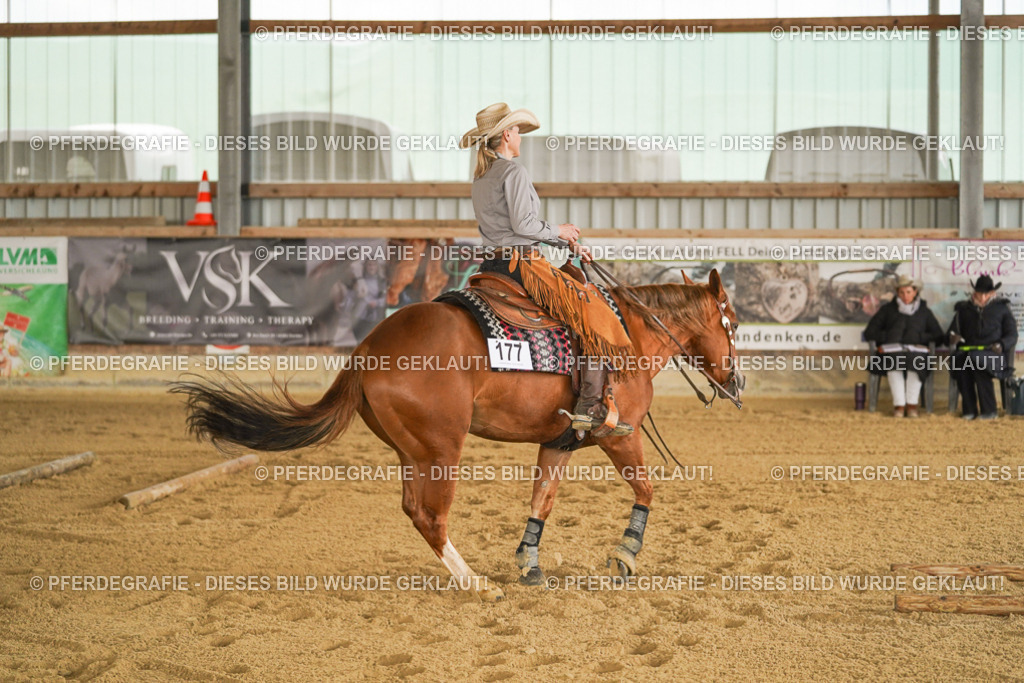 DSC04536 | Pferdegrafie