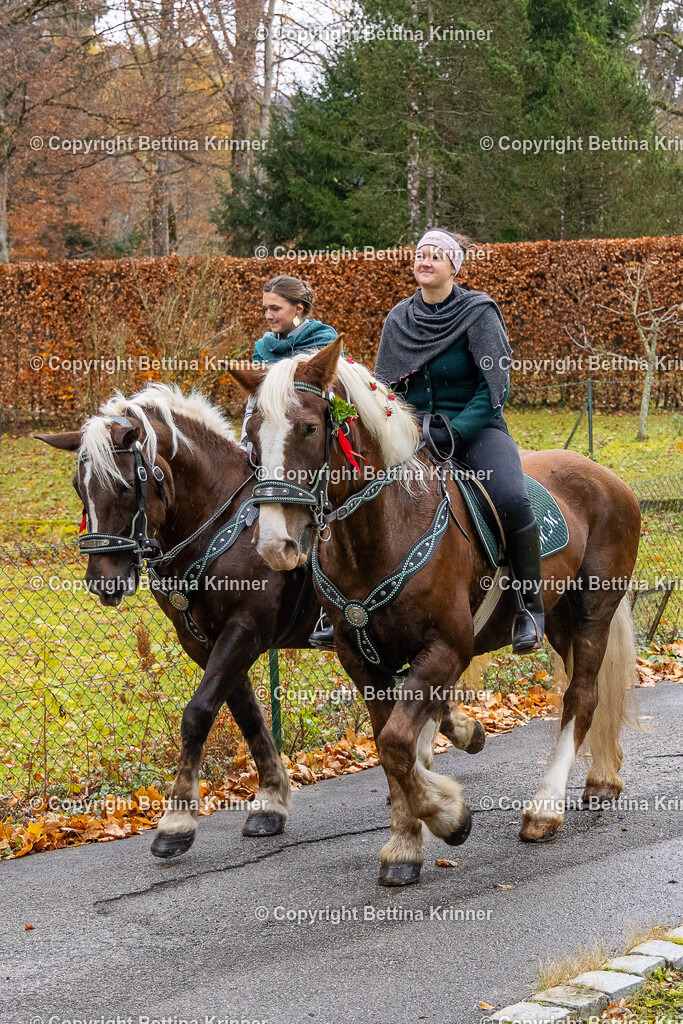 LL25-122 | foto-bettina-krinner - Realisiert mit Pictrs.com