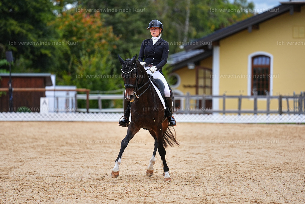 8_1-104-Klasse S_  -Marixx-4215 | working equitationturnier fotograf videograf stoibphotography marixx film working equitation deutschland reitsport turnierfotografie eventfotografie equestrian events