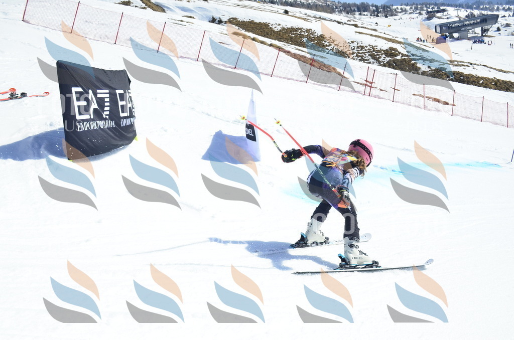 _ELE0905 | holidayphoto