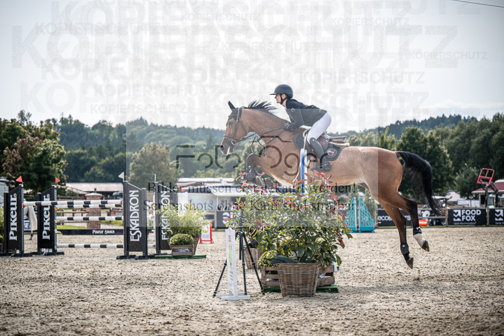 DOS_0430 | Entdecke hochwertige Reitturnierfotos von Foto Oger. Professionell, emotional und authentisch – jetzt Lieblingsmomente im Shop bestellen.Deutschlandweite Turnierfotografie. - Realisiert mit Pictrs.com