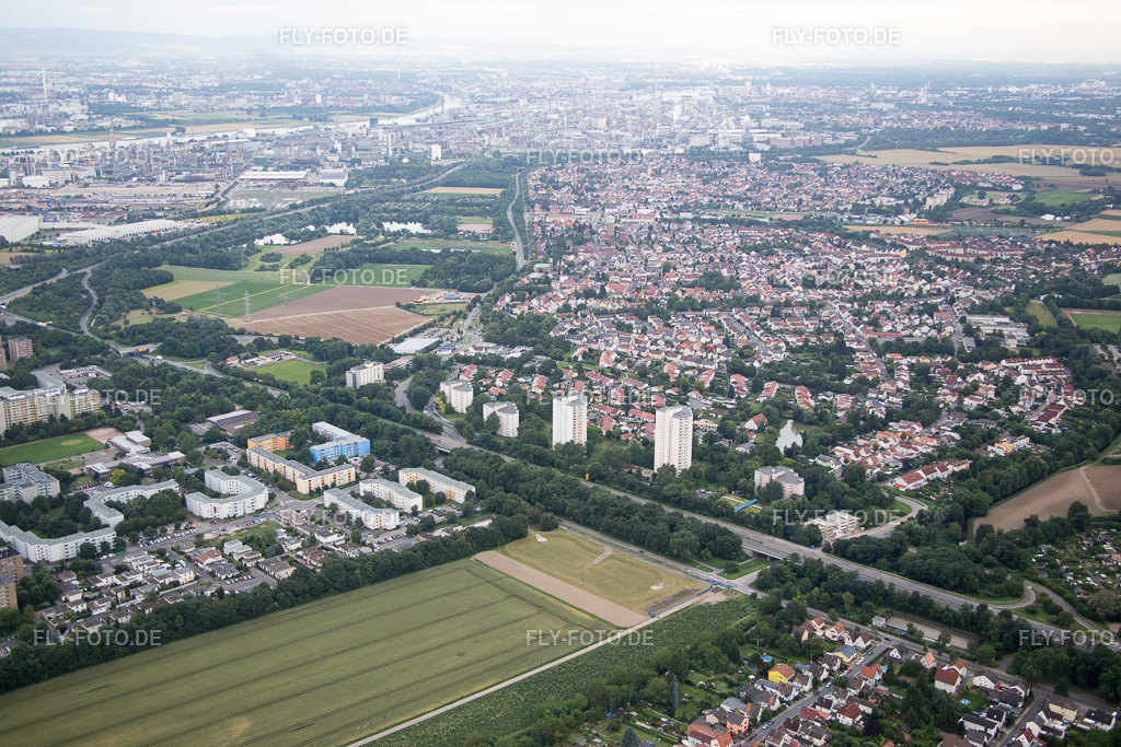 Ortsansicht | Luftbild: Ortsansicht im Ortsteil Edigheim in Ludwigshafen im Bundesland Rheinland-Pfalz in Deutschland. Foto: IMG_091071.jpg vom 04.07.2016 durch Werner Riehm/FLY-FOTO.de - Realisiert mit Pictrs.com
