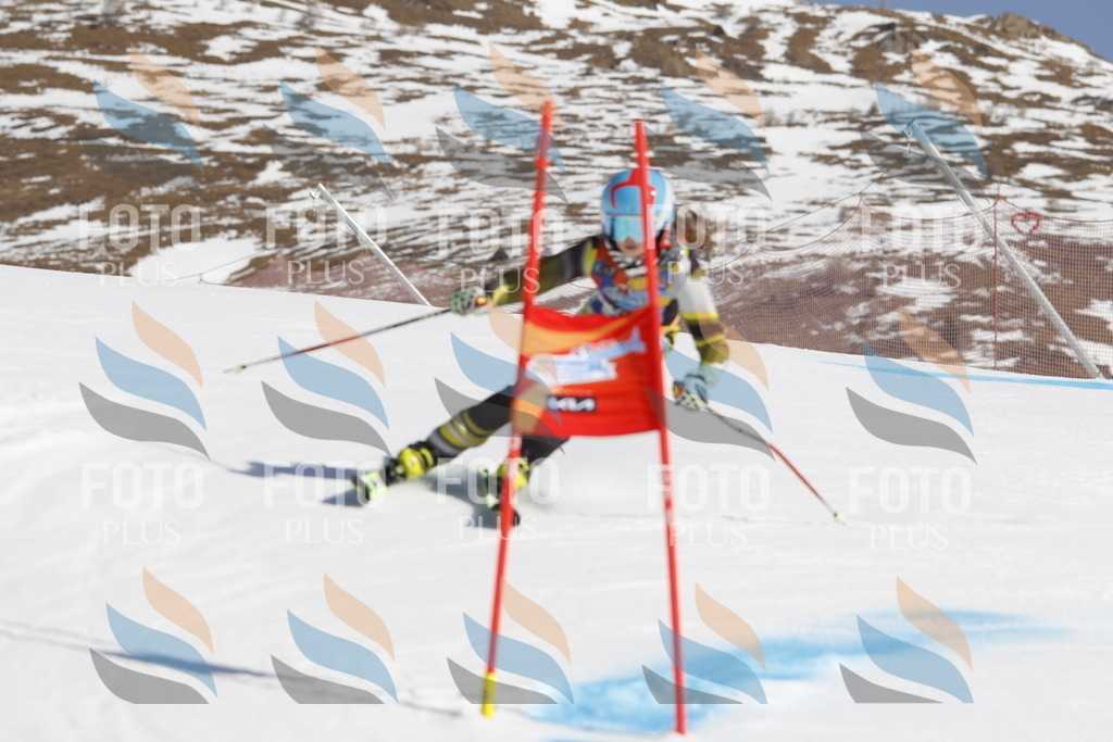 _U3G9348 | holidayphoto