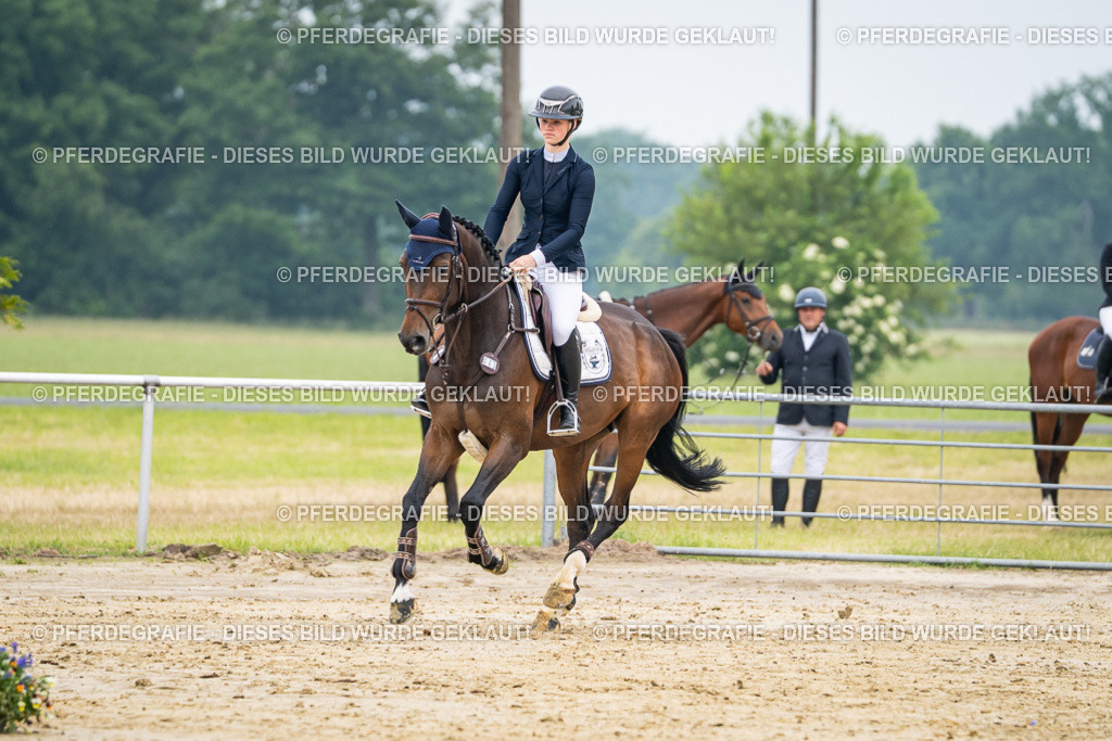 DSC00090 | Pferdegrafie